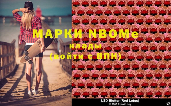 прущие крисы Белокуриха