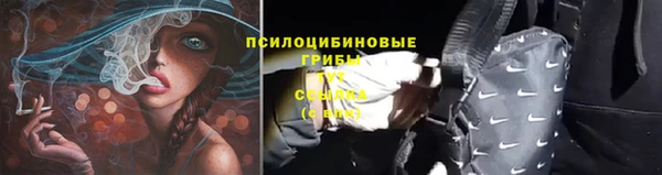 прущие крисы Белокуриха