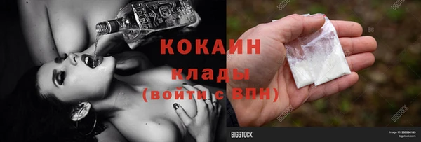 прущие грибы Беломорск
