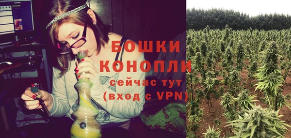 прущие грибы Беломорск