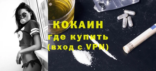 прущие грибы Беломорск