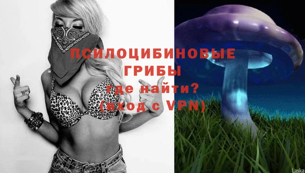 стафф Белоозёрский