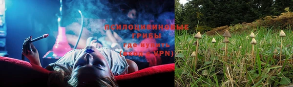 прущие крисы Белокуриха